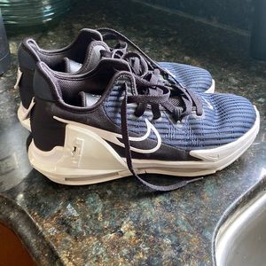 Nike Lebron James basketball shoes